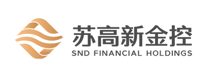 SND Financial Holdings